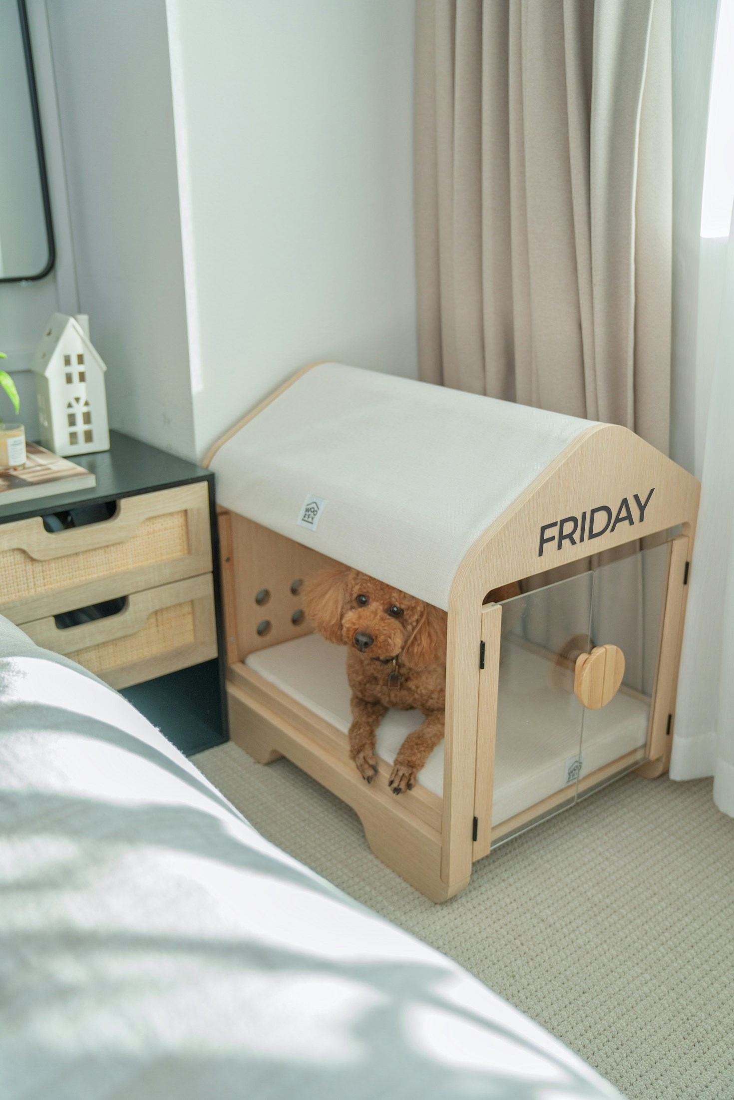 How To Keep Your Pet Active Indoors