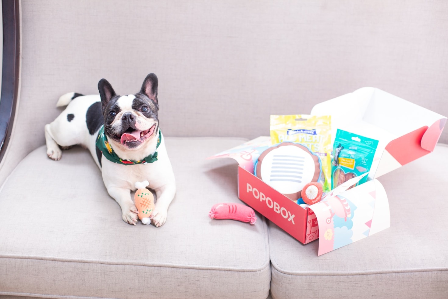 Modern Trends In Pet Care Products